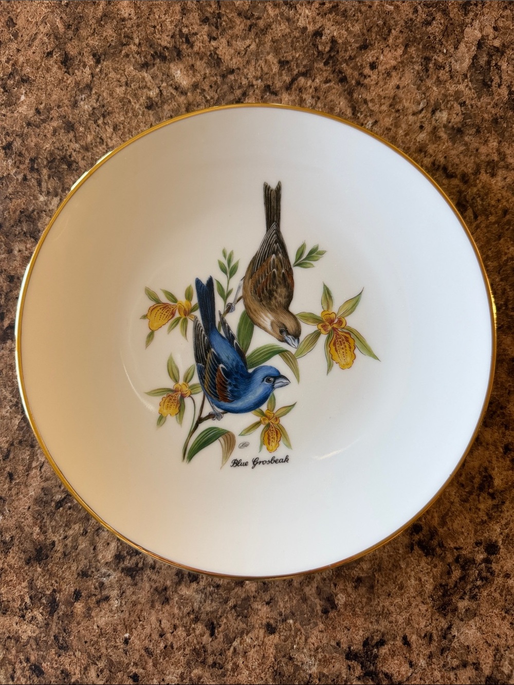 Bareuther Waldsassen Bavaria Germany Decorative Bird Plate - Blue Grosbeak